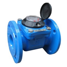 Тепловодомер ВСХН 40 IP68 (Польша) Счетчики воды