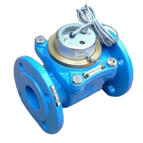 Тепловодомер ВСХНд 40 IP68 (100л/имп) Счетчики воды #1