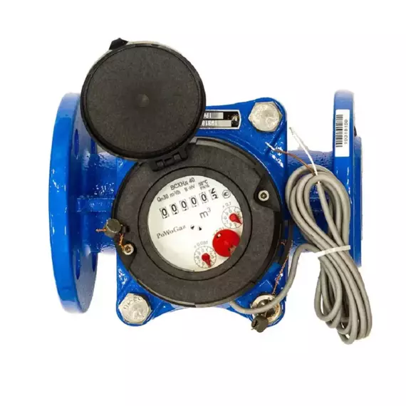 Тепловодомер ВСХНд 40 IP68 (100л/имп) (Россия) Счетчики воды #2